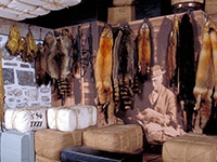 Fur Trade Museum