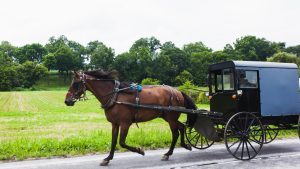 Horse and Carriage